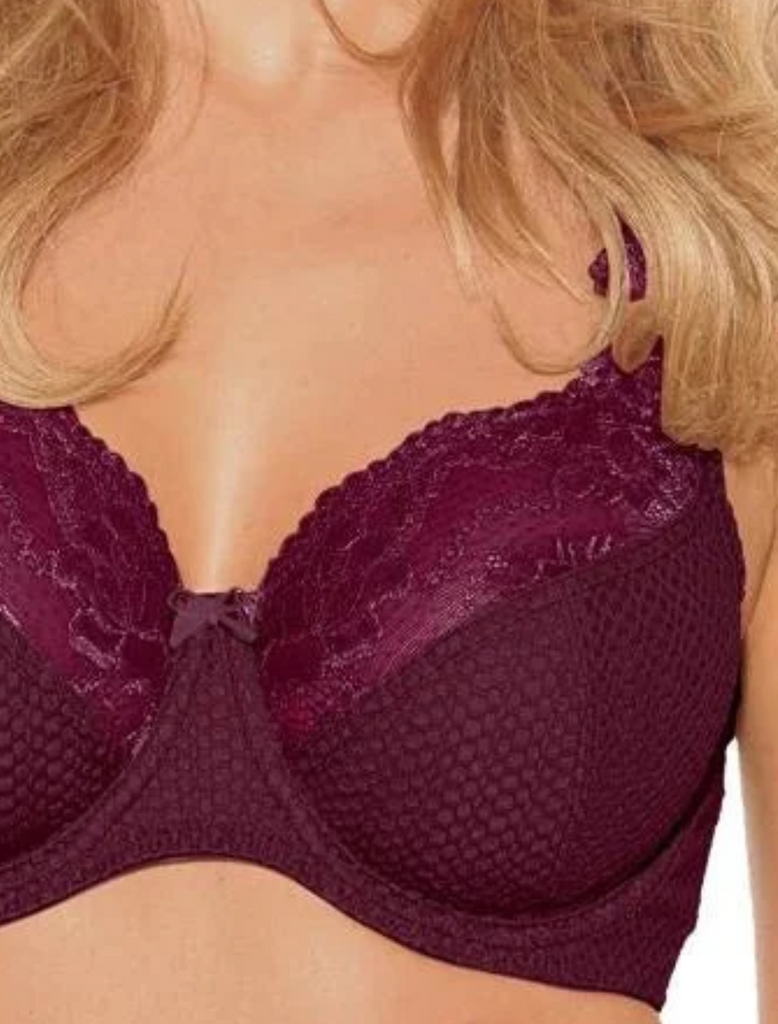 Fit Fully Yours Serena Lace Underwire Bra, Burgundy – Bras & Honey USA
