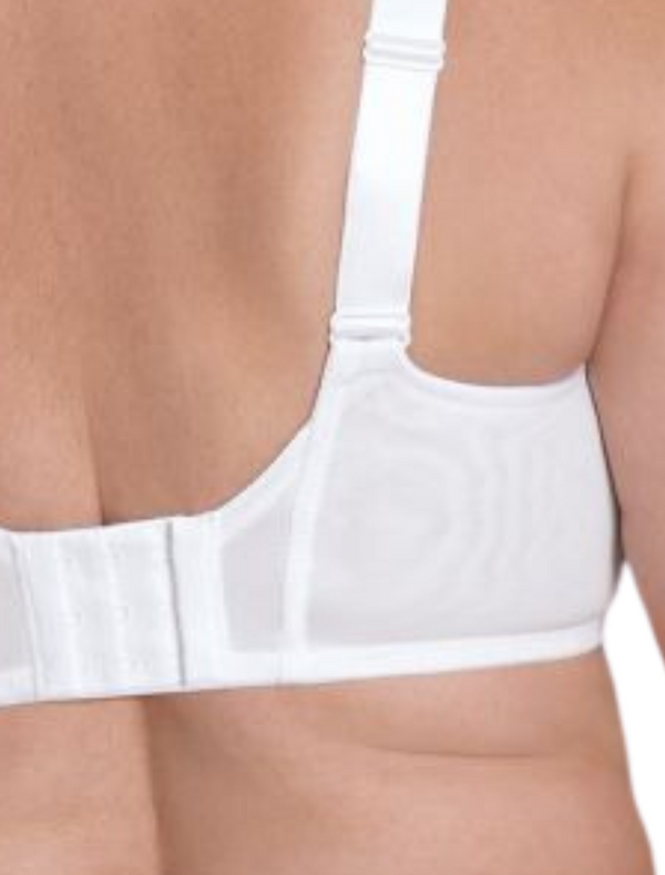 Anita Rosa Faia Selma Big Cup with Underwire Bra, White | White Big Cup Bra | Rosa Faia Selma Underwired Bra | White Full Cup Bra