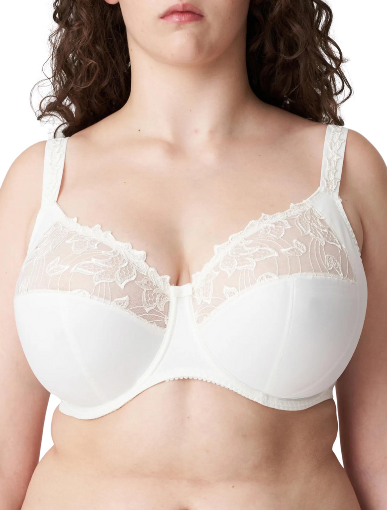 Natural Curves - Bra & Briefs up to L cup (UK I cup)